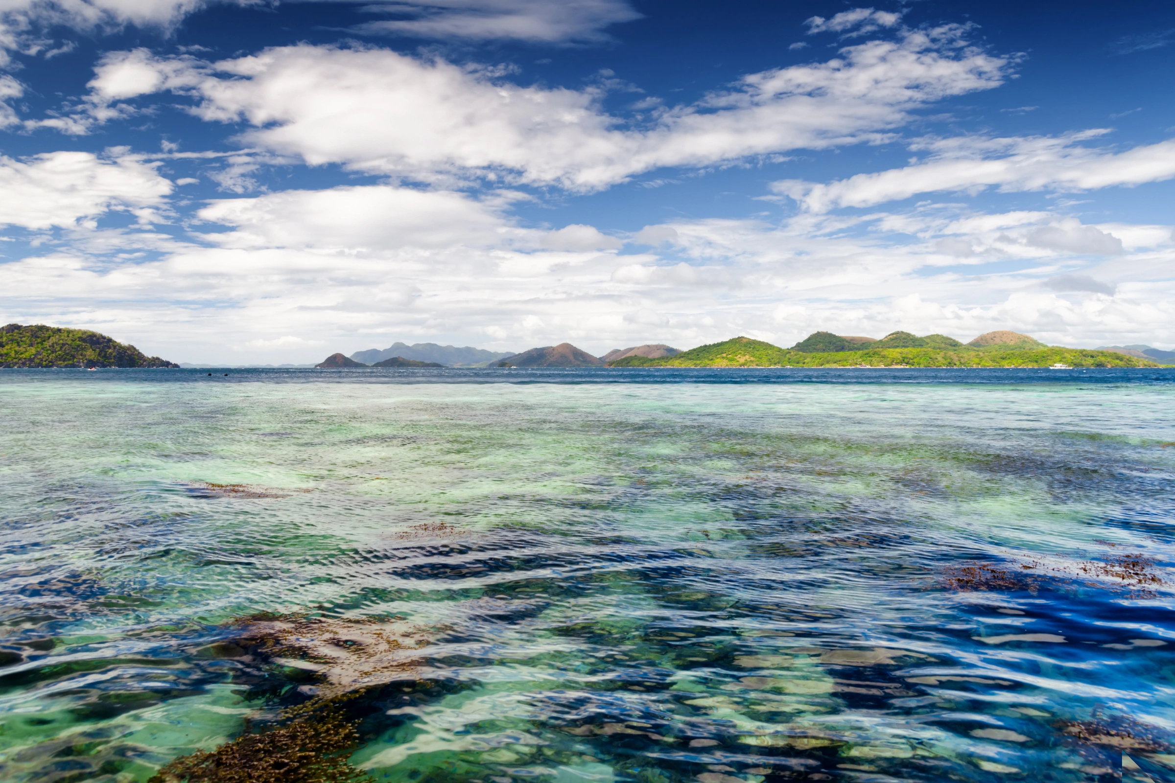 Busuanga[1].webp